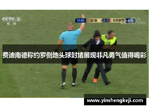 费迪南德称约罗倒地头球封堵展现非凡勇气值得喝彩